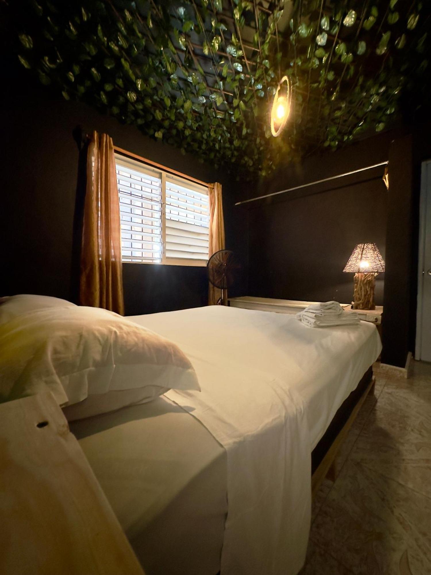 Hostel Watermelon House Samana المظهر الخارجي الصورة